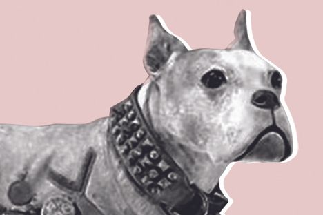 Heroes in Taxidermy: The Collectable Postcard Edition
