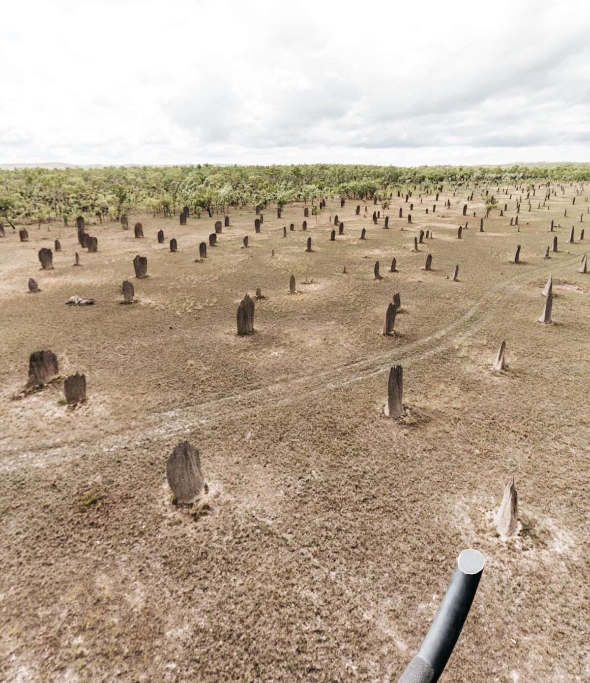 Random Mounds Magnetic Termite Mounds – Litchfield Park, Australia - Atlas Obscura