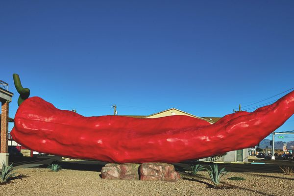 Behold, the world's largest chile pepper.
