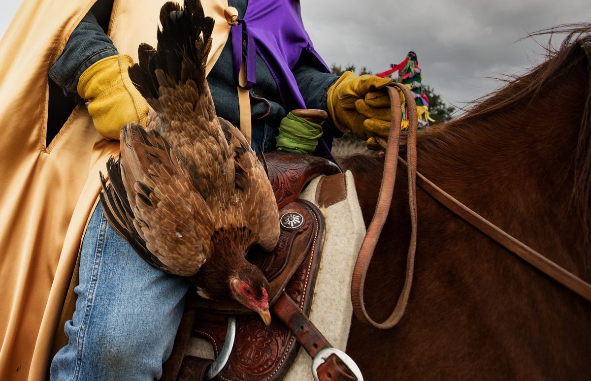 A <em>capitaine</em> holds a hen prior to the tumult.