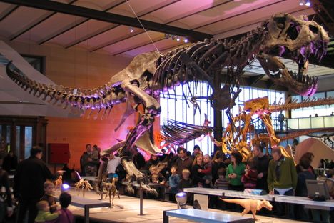 Newly-Found Species Shows Tyrannosaurus Rex Had Brains Before Might