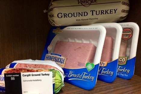 An exhibit showing a replica of contaminated meat.