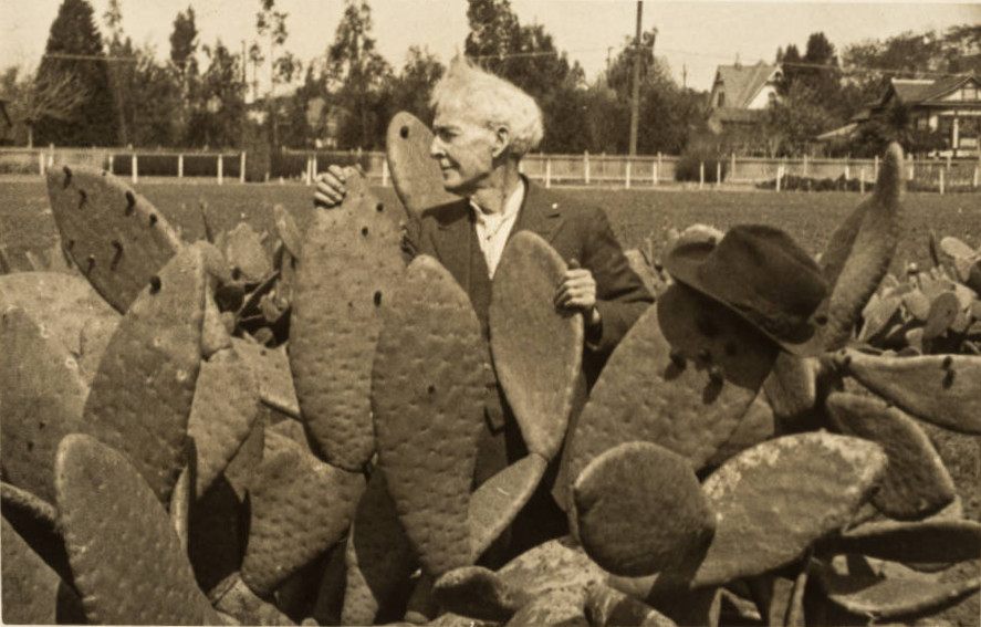 The Thorny Tale of America's Favorite Botanist and His Spineless Cacti - Gastro Obscura