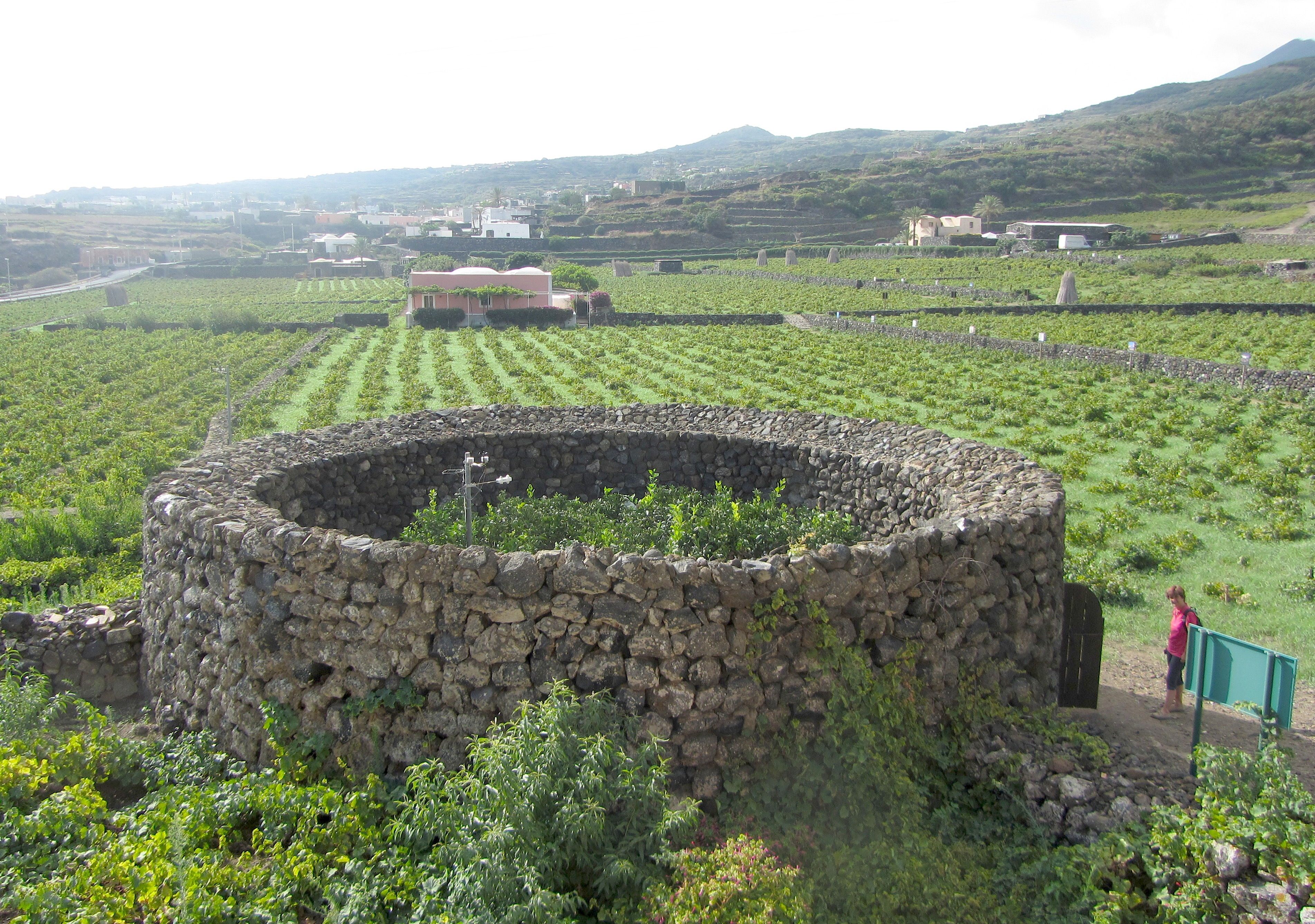 The giardino Pantesco located at the Donnafugata vineyards in the town of Khamma, Pantelleria.