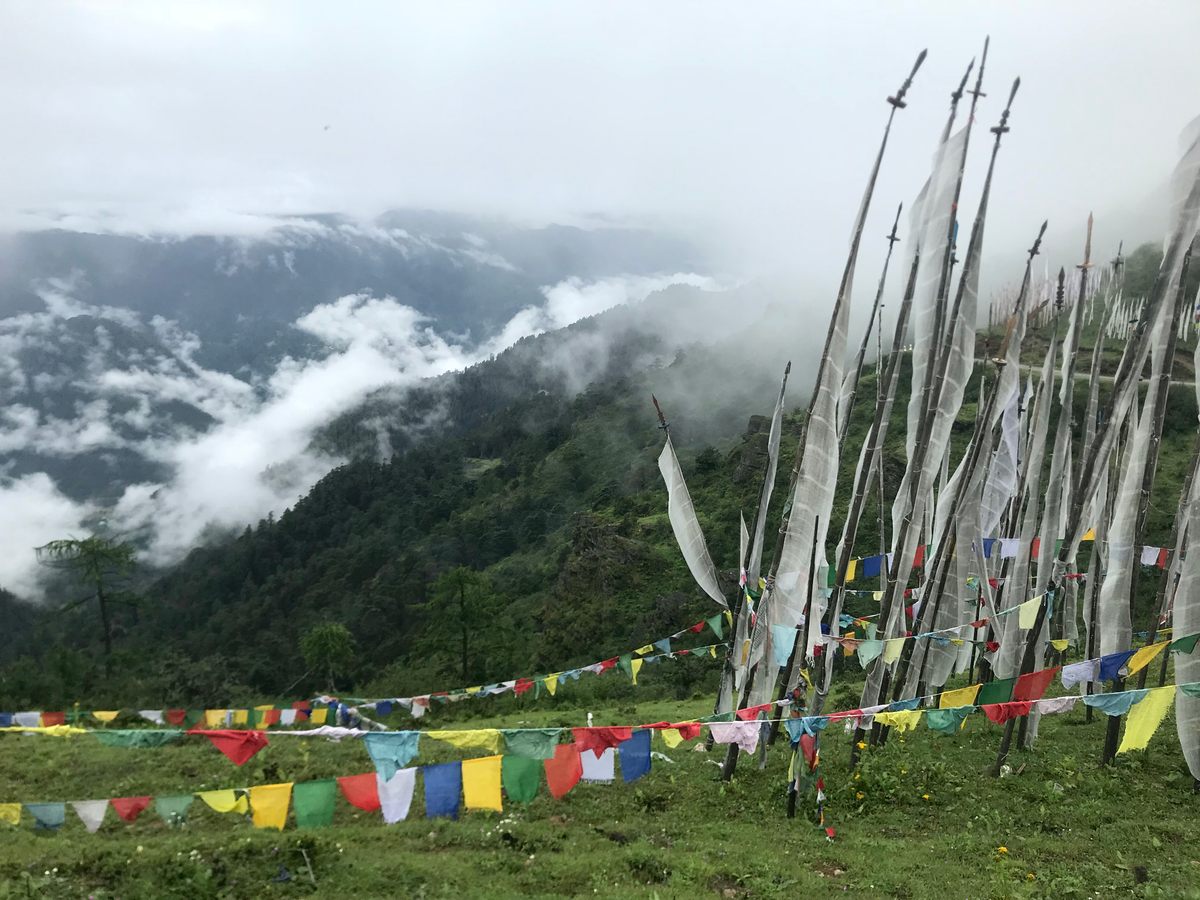 Nestled in the Himalayas, Bhutan has an average elevation of about 8,000 feet; its tiger population has adapted to live as high as 11,000 feet.