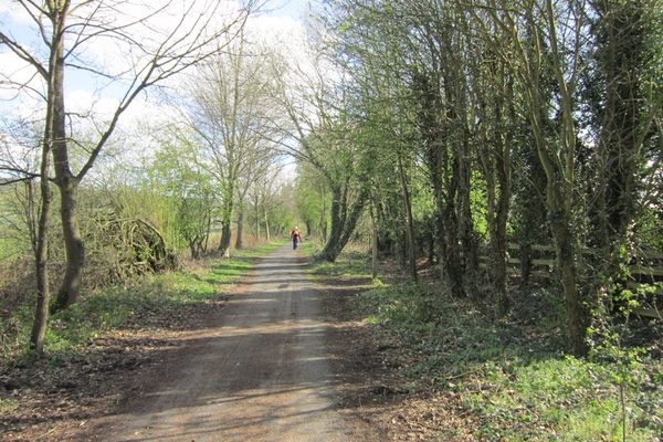 Looking East along Wylam Wagonway
