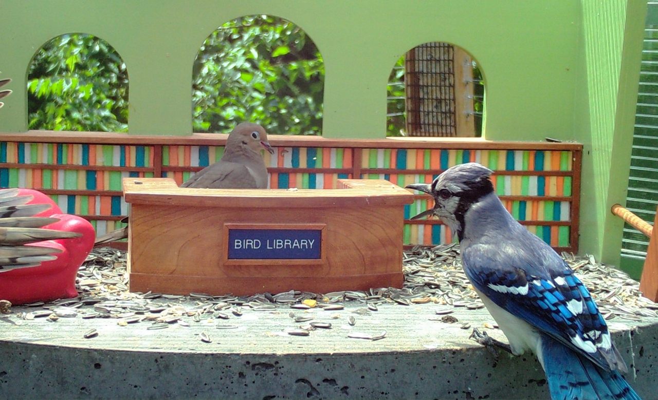 <em>Shh!</em> This is a library!