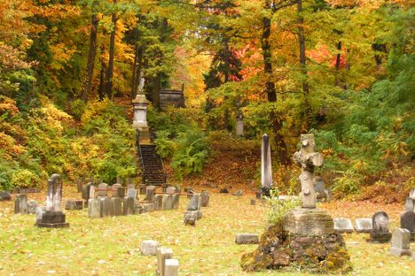 Fall foliage at Mount Hope.
