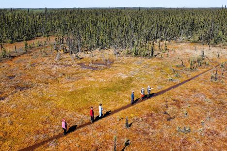 First Nation tribes such as the Łı́ı́dlı̨ı̨ Kų́ę́ have been collaborating with Western scientists in the Indigenous-led Scotty Creek Research Station to find ways to protect Canada's land, water, and ice.