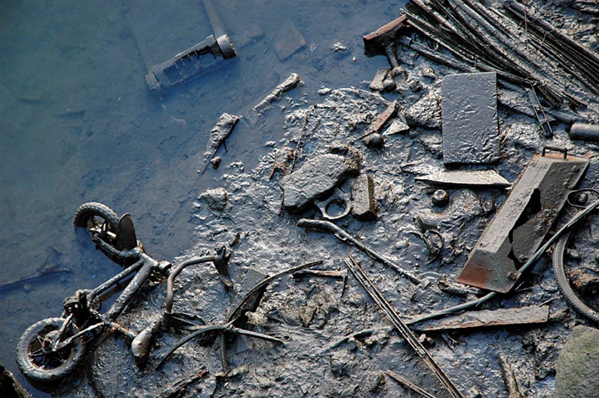 There's a lot of stuff to inspire disgust in the Gowanus—and less visible contaminants, too.
