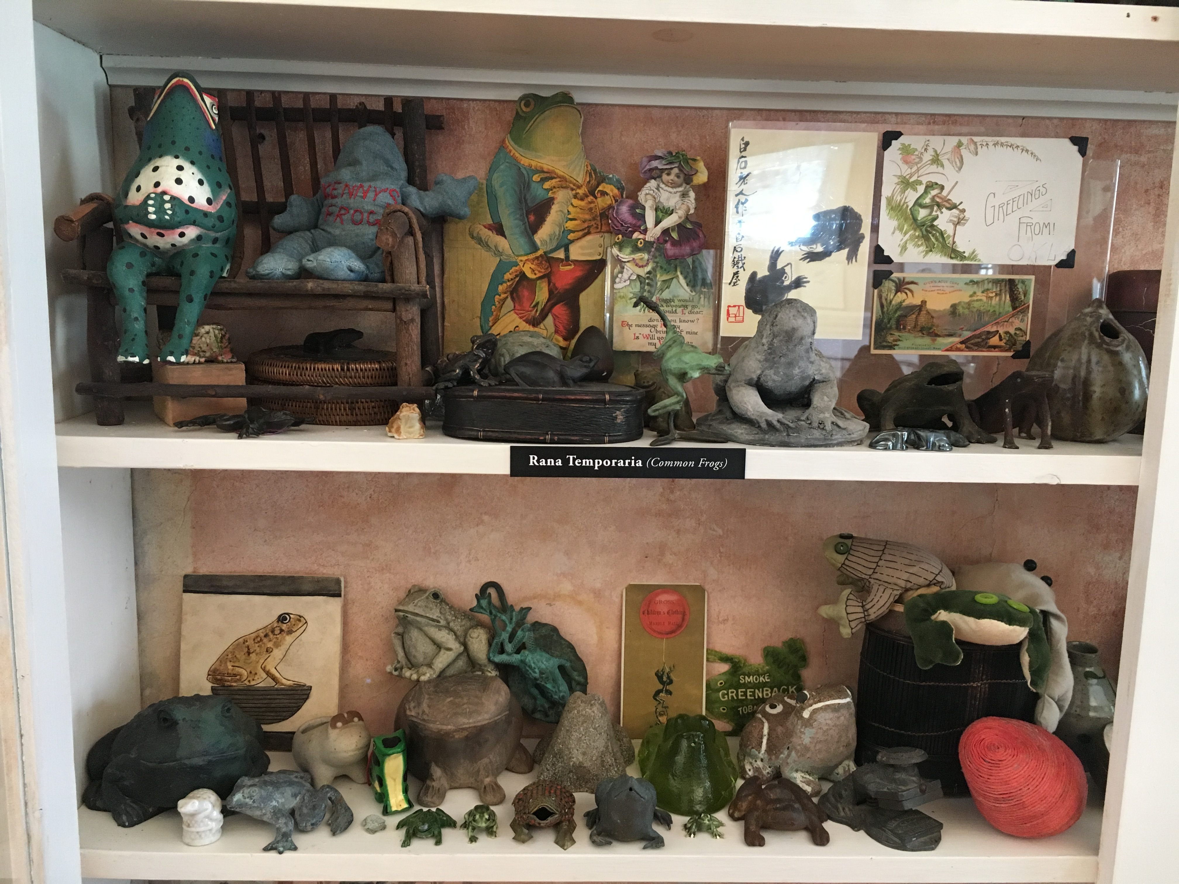 A small section of Gorey's frog collection. The one on the left, labeled "Kenny's Frog," was made by the artist for his nephew Ken Morton.