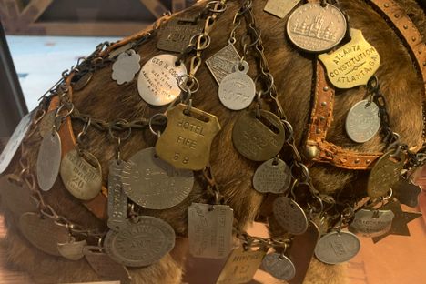 Just a few of his dog tags 