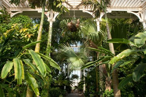 Can the famous greenhouse get greener?