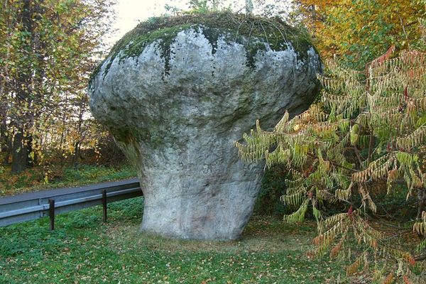 The mushroom rock