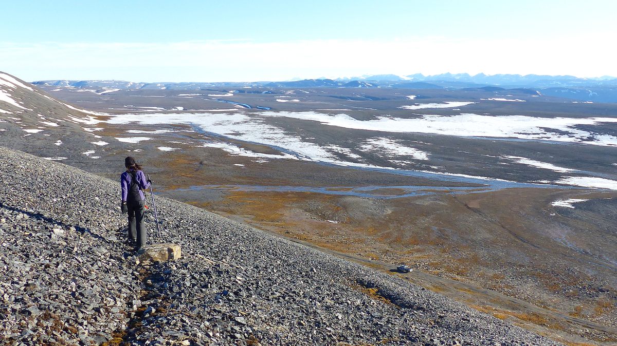 Sandra Lai surveys the polar desert landscape around the world's northernmost wildlife research station.