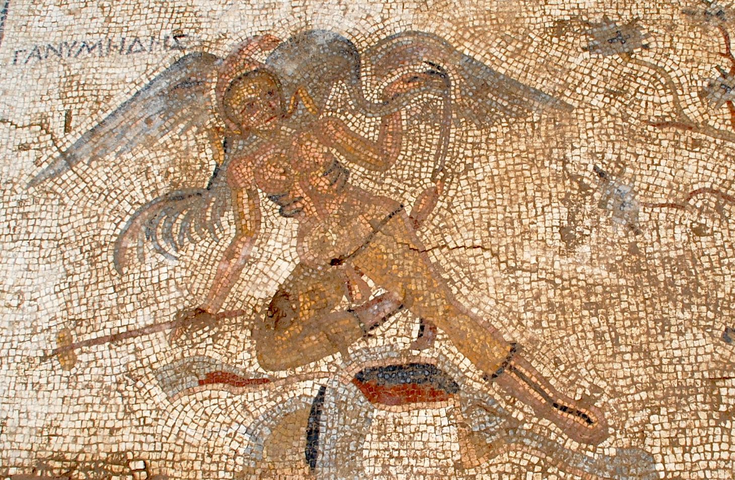 An eagle-bodied Zeus cleaning Ganymede with his beak.