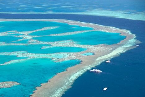 Found: A Huge Reef Hiding Right Behind the Great Barrier Reef 