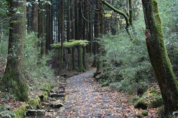 Come journey into the feudal past.