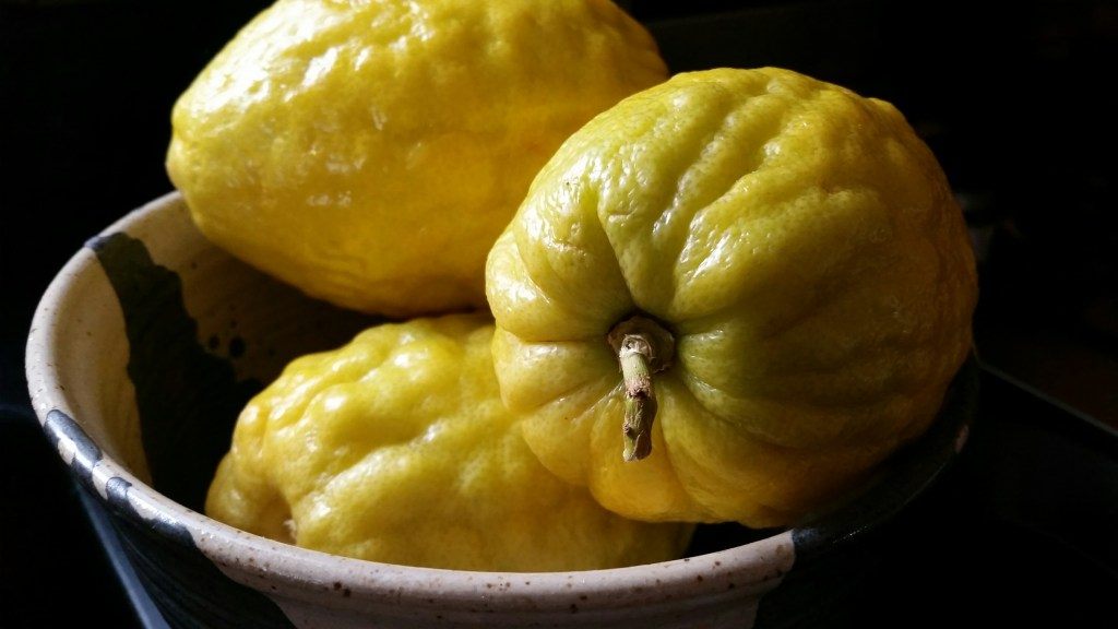 A knobby, thick-skinned fruit, citron is the ancestor of many of the citrus fruits we enjoy today. You can order them candied online, or substitute lemon, lime, or mixed candied fruit.