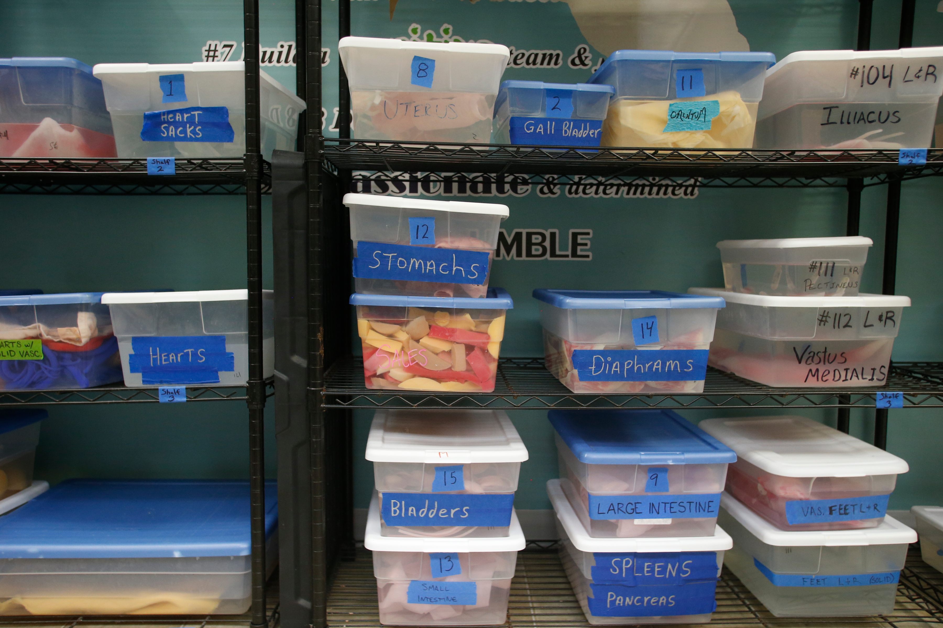 Boxes of synthetic body parts wait to be added to a cadaver.