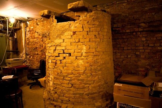 The Manhattan Well: How Aaron Burr and Alexander Hamilton United to Solve a Murder Mystery