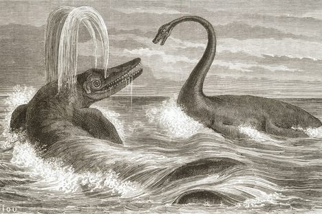 Was the "Saurian monster" a rogue ichthyosaur with an appetite for mutton?