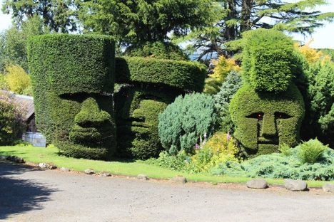 Topiary
