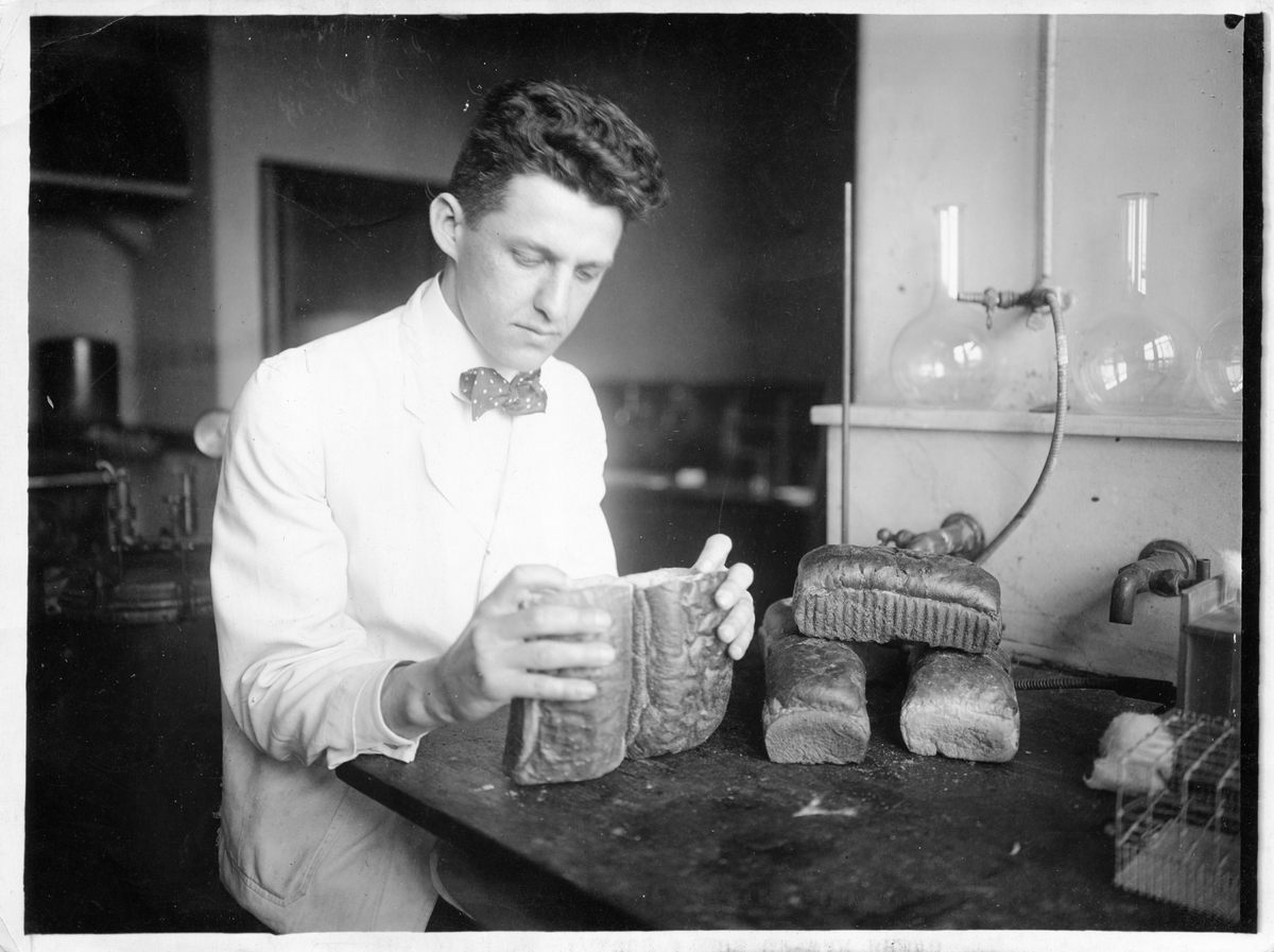 A man compares the texture of two kinds of bread made from wheat substitutes.