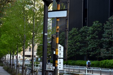 Hamarikyu-mae Railway Crossing