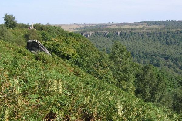 Wellington Monument with Birchen Edge in the background