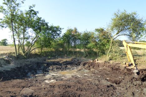Often hidden below depressed, waterlogged earth, the ghost ponds must be excavated into existence.