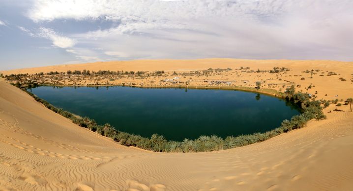 What Is an Oasis in the Desert?