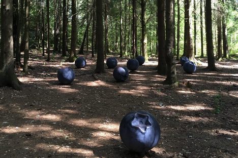 Giant blueberries.