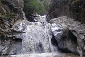 Photo of Vucje