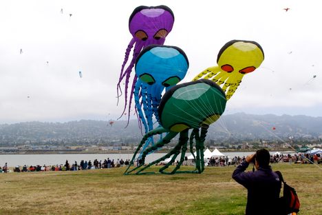 Berkeley Kite Festival: 1 August 2010