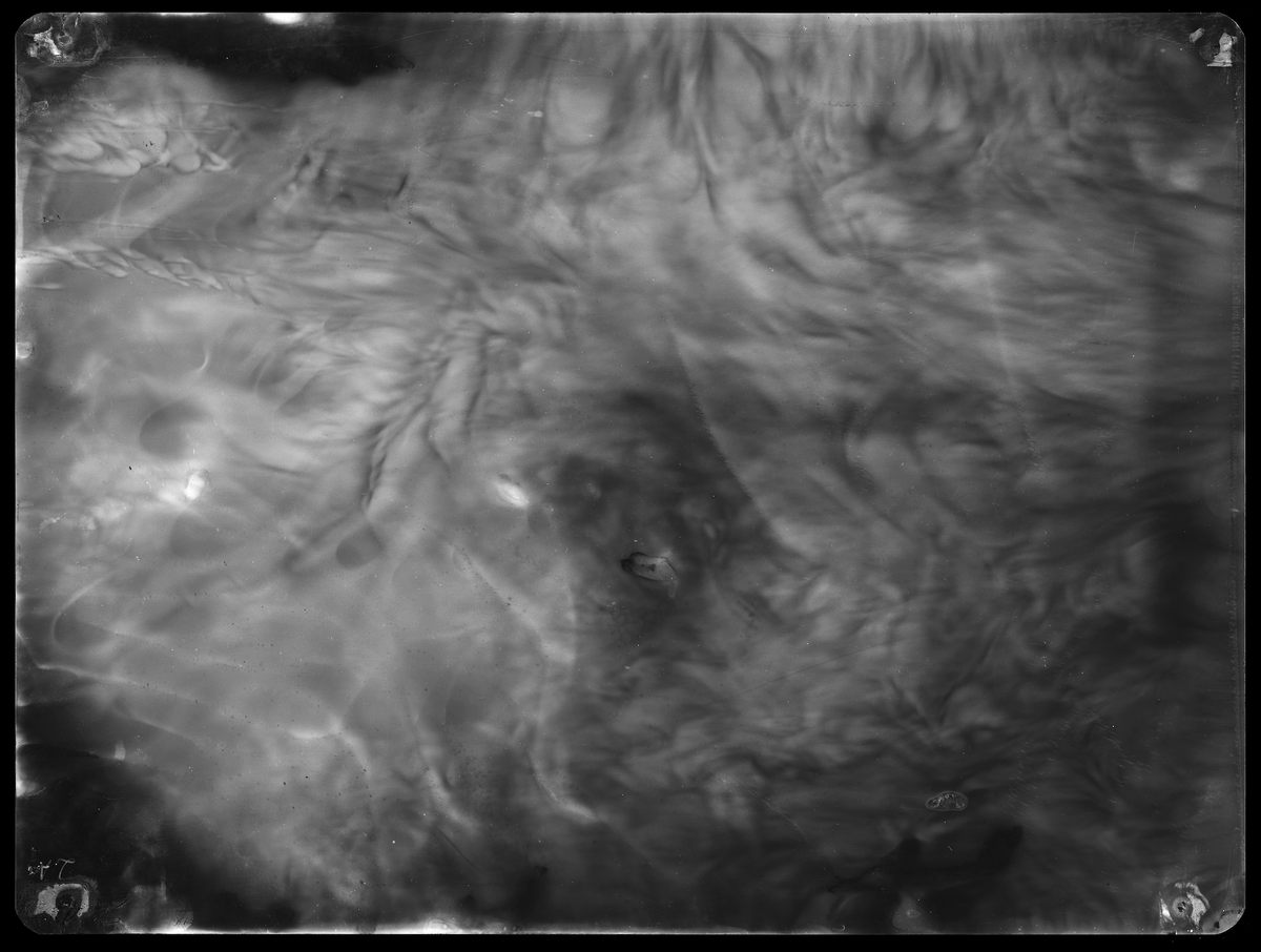 Alice Miceli, <em>fragment of a field III - 9.120 µSv (07.05.09 - 21.07.09)</em>, backlight, radiographic negative.