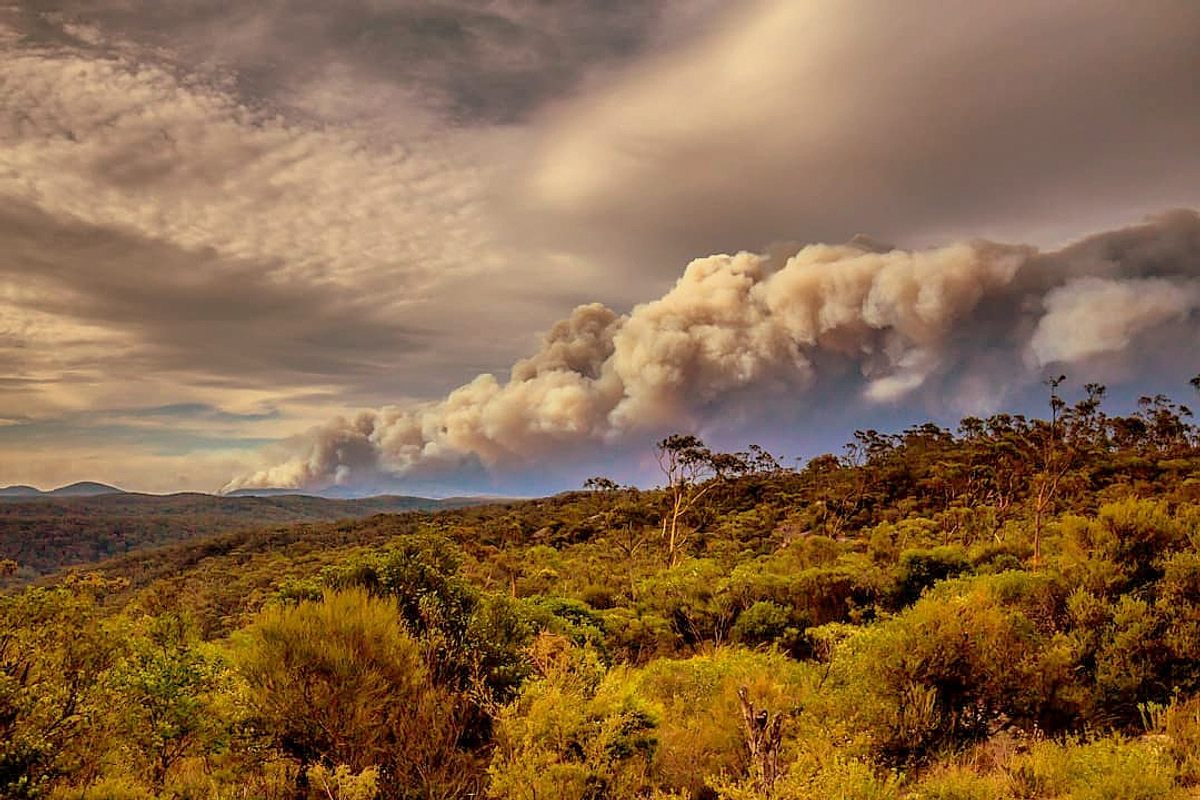 Australia has been burning for several months. This fire was pictured at Gospers Mountain in December 2019.