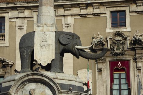 The mysterious elephant.