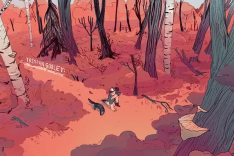 An Animated Guide to Nature's Best Wayfinding Secrets