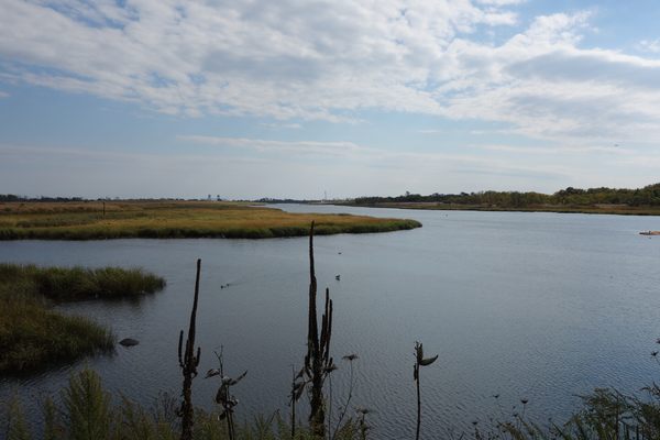 The salt marsh south of the nature center.