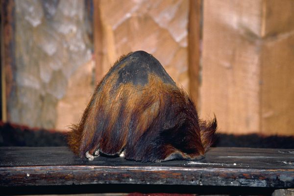 The scalp purported to be from a legendary yeti, at the Nepal village of Khumjung.