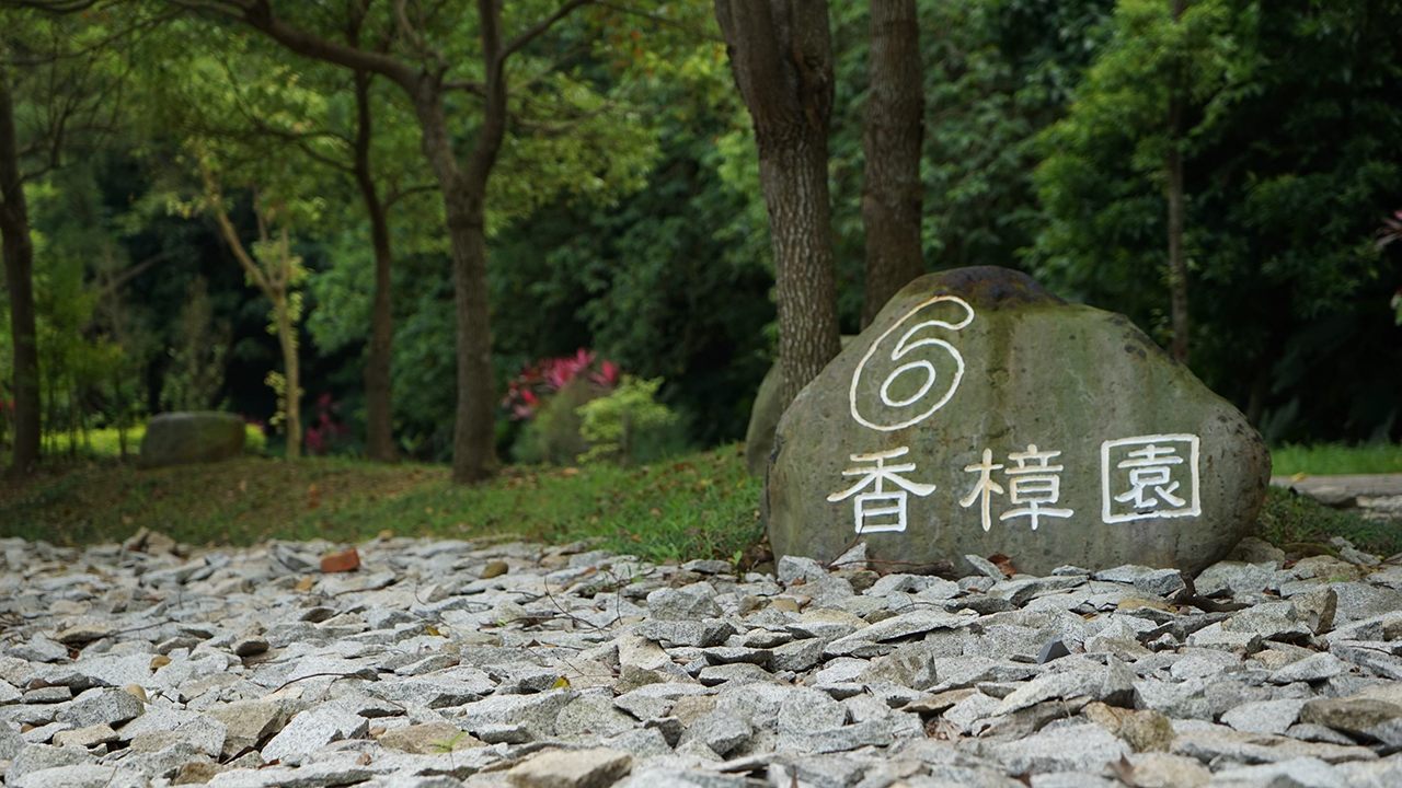 The tree burial area of ​​Fudekeng Environmental Restoration Park, Taipei. The rock says: “6, Fragrant Camphor Garden." 