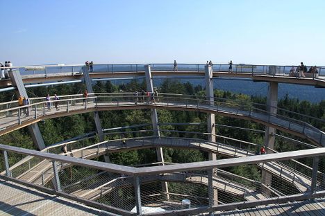 Treetop Walk Black Forest