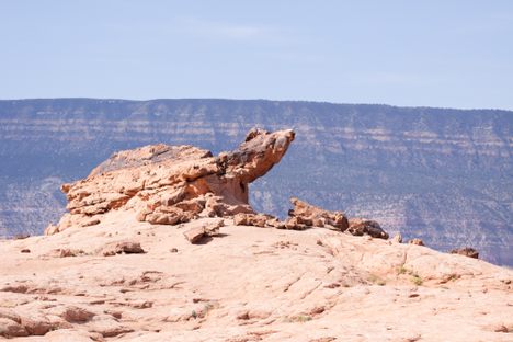 The North end of Sunset arch closely resembles a giant turtle