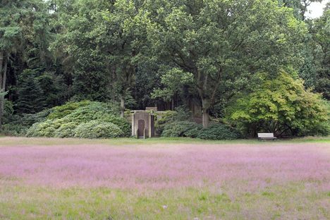 Field 