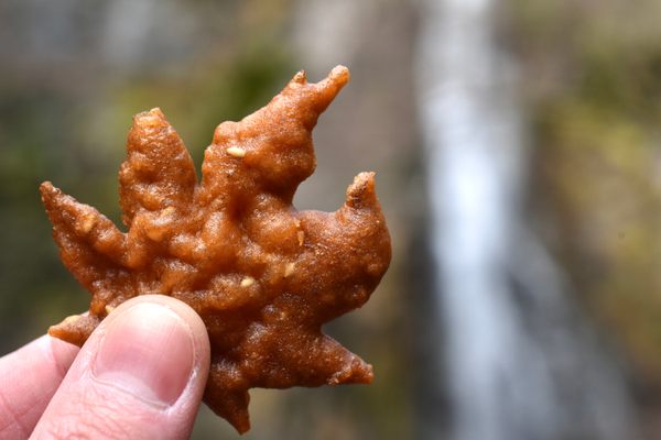 Biting into a momiji no tempura (fried maple leaf) is like tasting autumn itself.