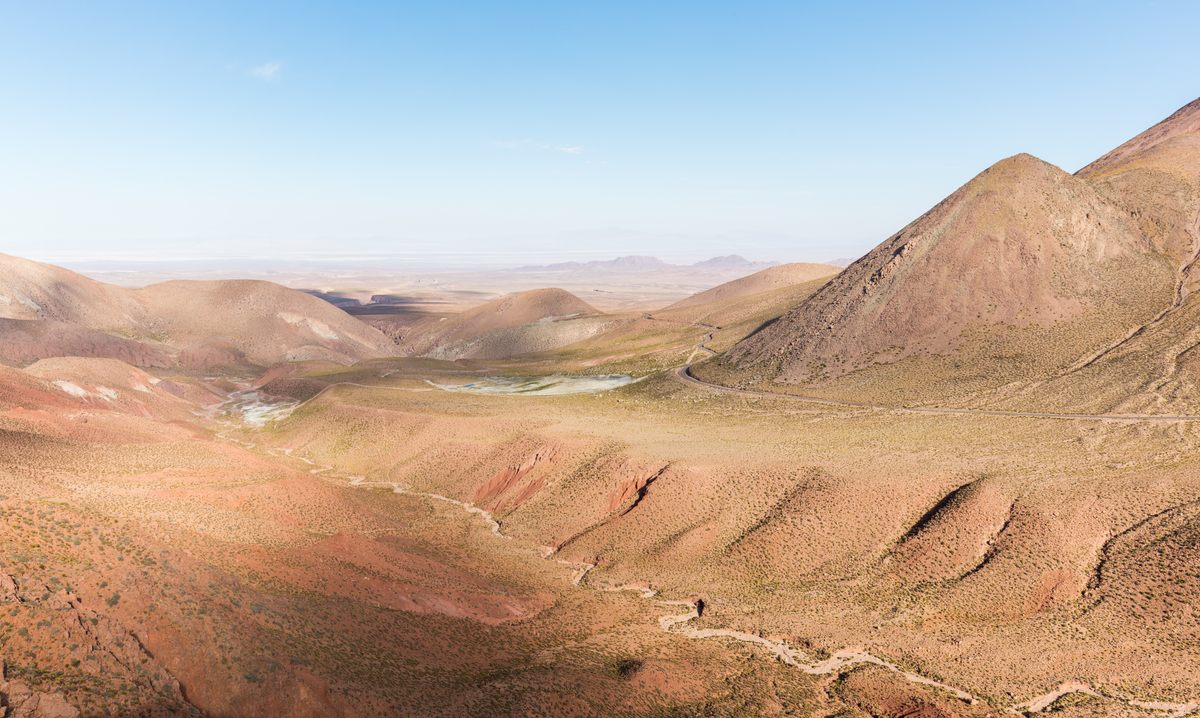 Silk espera tener un rival cuando se siente en el desierto de Atacama en Chile, uno de los lugares más secos de la Tierra.