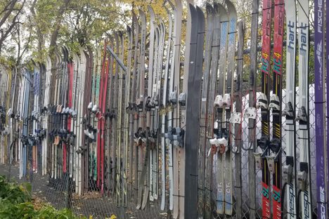 Alpine Asphalt's Wall of Skis