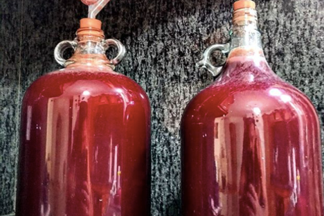 Prickly Pear Liqueur