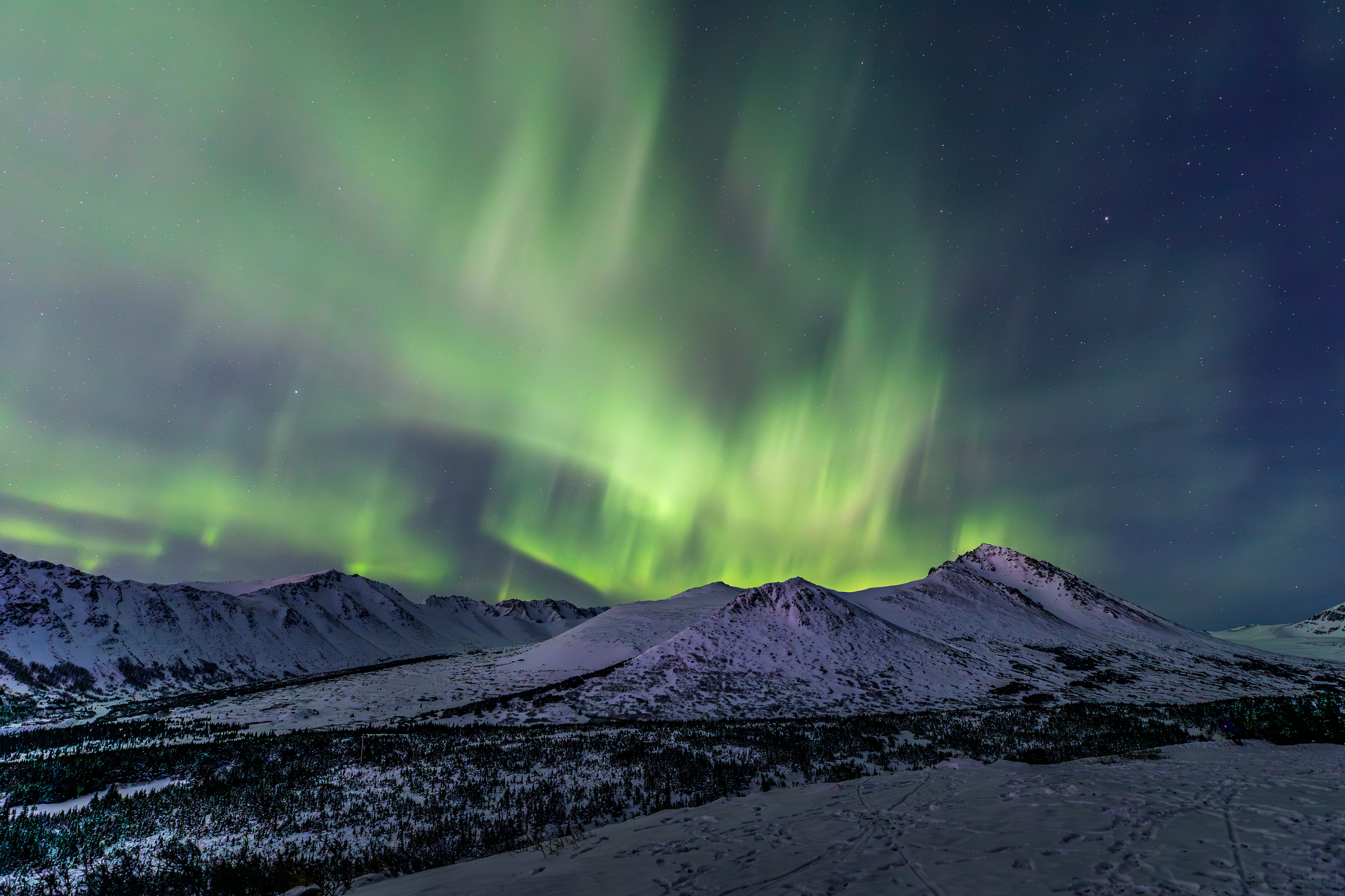 Anchorage is located right under the auroral belt, meaning that on active nights, the lights can be seen quite easily. 